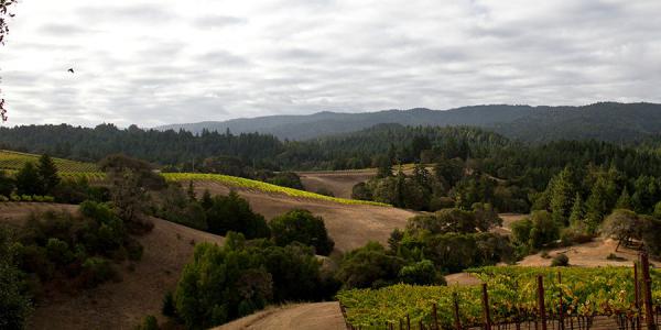 Anderson Valley